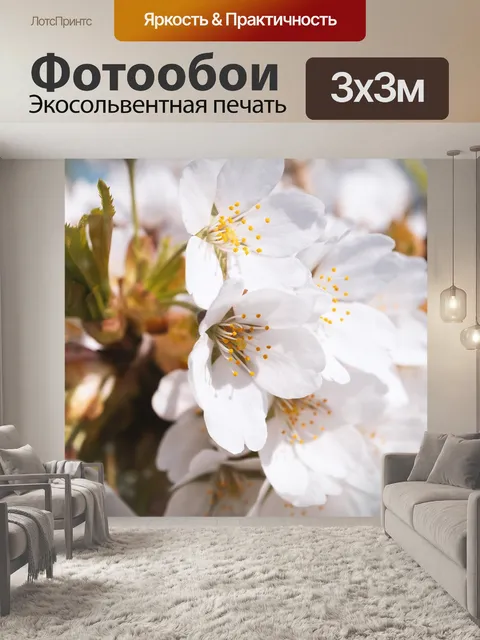 Фотообои Белые цветки