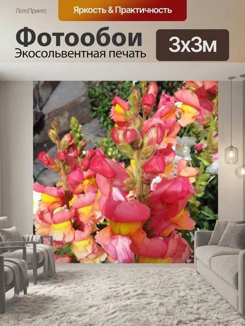 Фотообои Розовые цветы