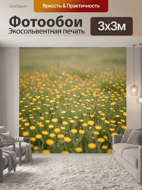 Фотообои Поле желтых полевых цветов