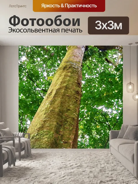Фотообои Глядя на высокое дерево
