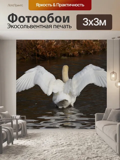Фотообои Птица