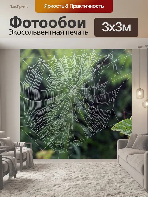 Фотообои Паутина