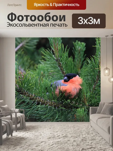 Фотообои Снегирь