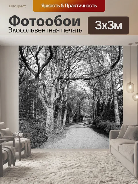 Фотообои Дорожка