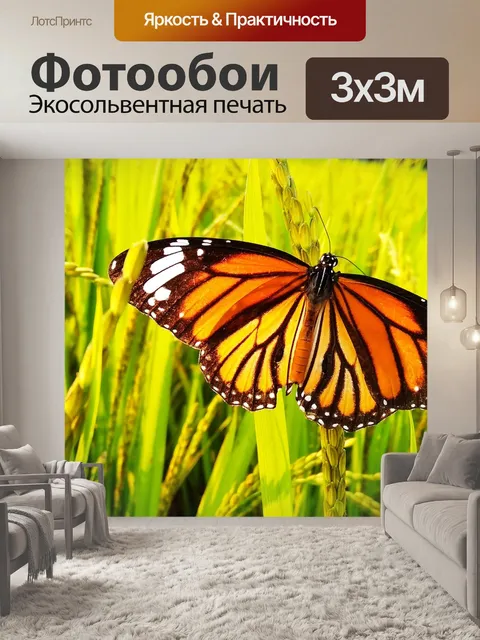 Фотообои Бабочка