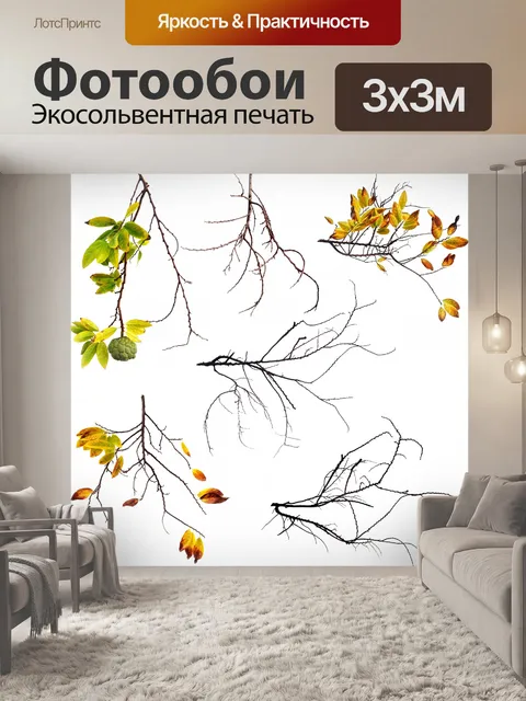 Фотообои Сахар яблоко ветвей