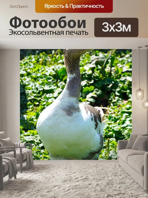 Фотообои Гусь