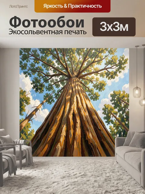 Фотообои Высокие деревья на фоне неба