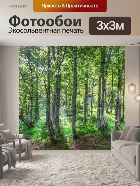 Фотообои Туман