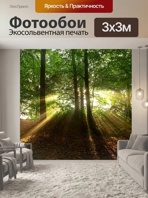 Фотообои Туман
