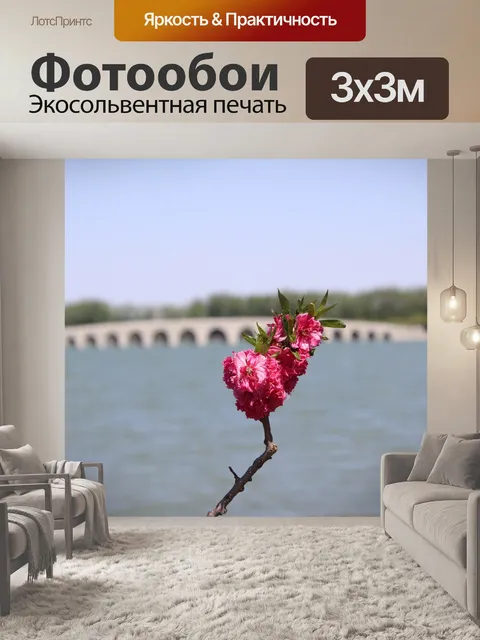 Фотообои Персиковый цвет