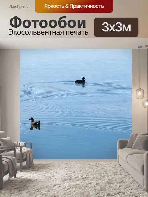 Фотообои Птицы