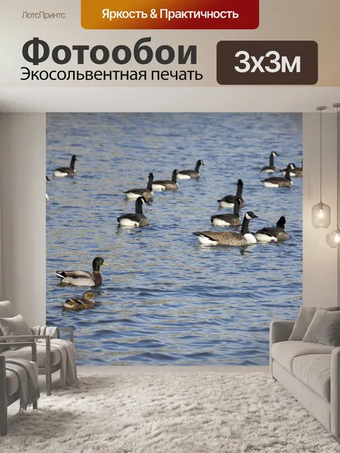Фотообои Грейлаг Гусь