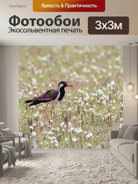 Фотообои Луг