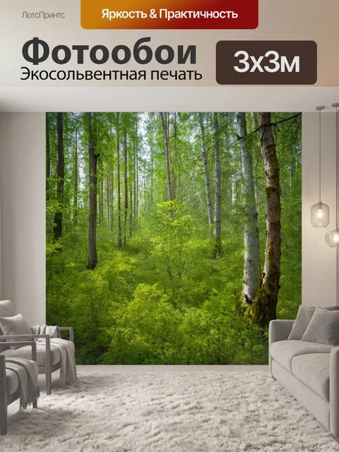 Фотообои россия леса — экологически чистые зоны