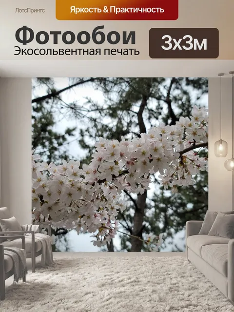 Фотообои Цветок