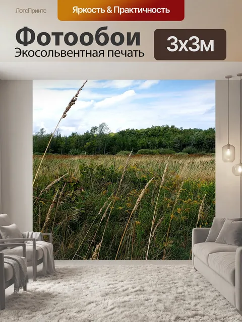 Фотообои Красивое золотое поле