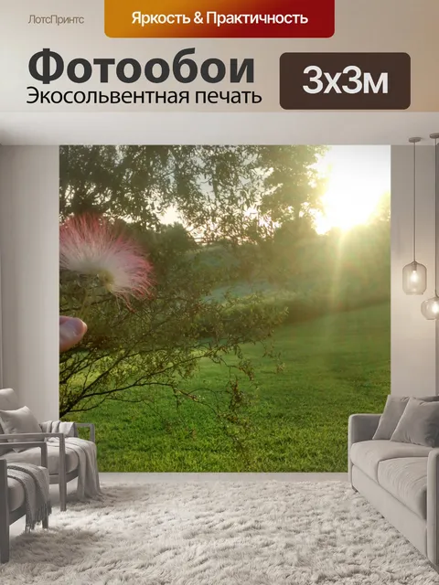 Фотообои Закат солнца
