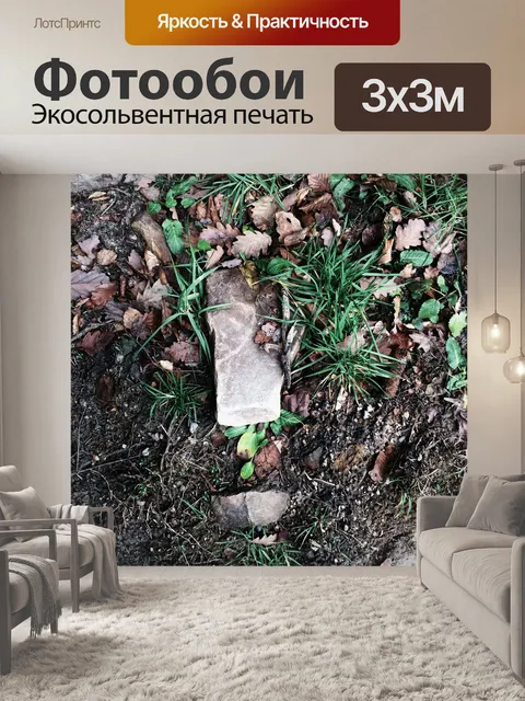 Фотообои Сад