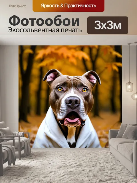 Фотообои Крупный план головы собаки породы питбуль с белым окрасом