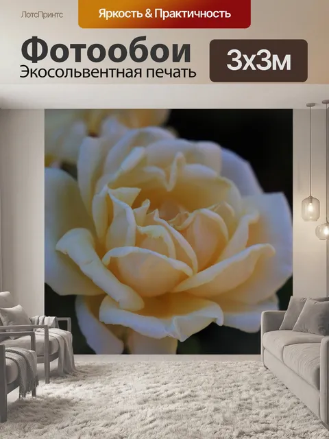 Фотообои Роза