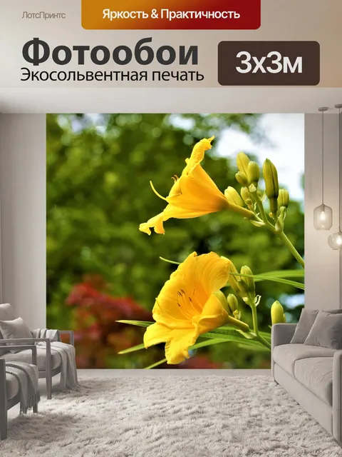 Фотообои Цветы