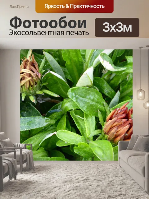 Фотообои Заостренные Цветы