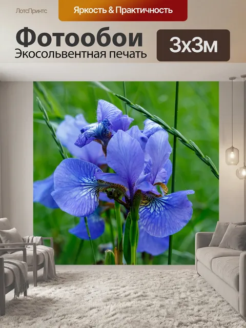 Фотообои Цветок ириса