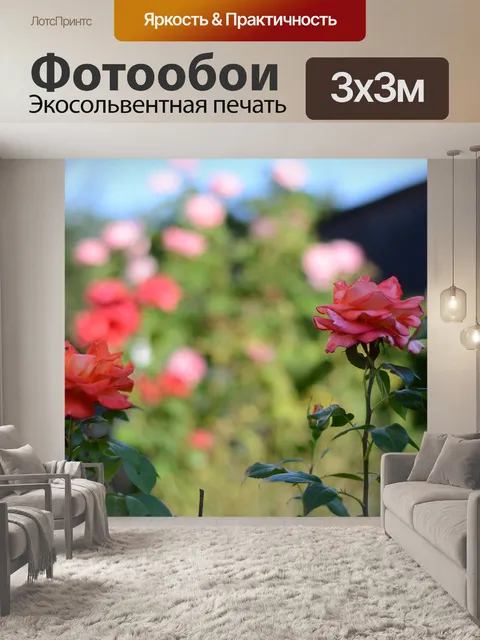 Фотообои Розы