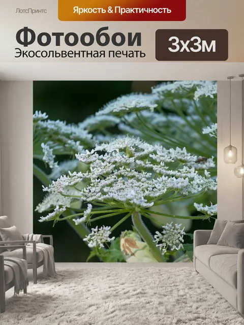 Фотообои Лес