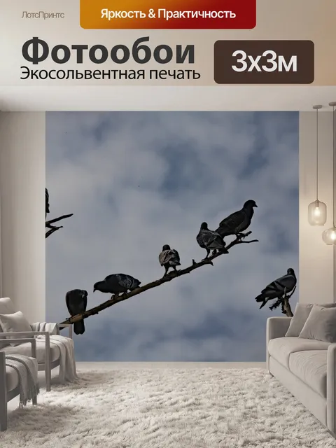 Фотообои Утренние голуби на дереве