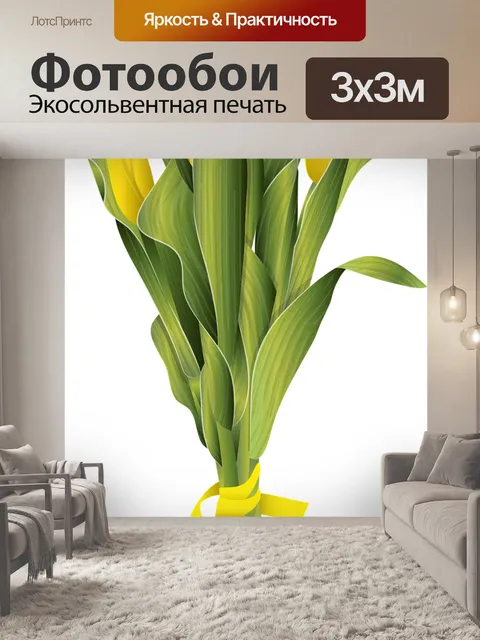 Фотообои Тюльпан тюльпаны