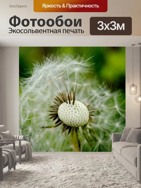 Фотообои Одуванчик Макро