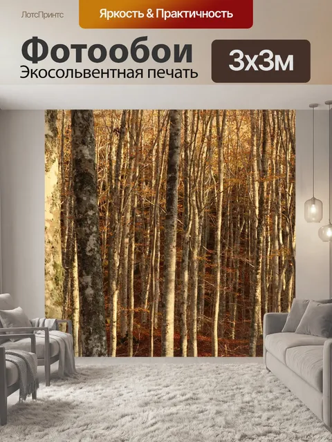 Фотообои Лес