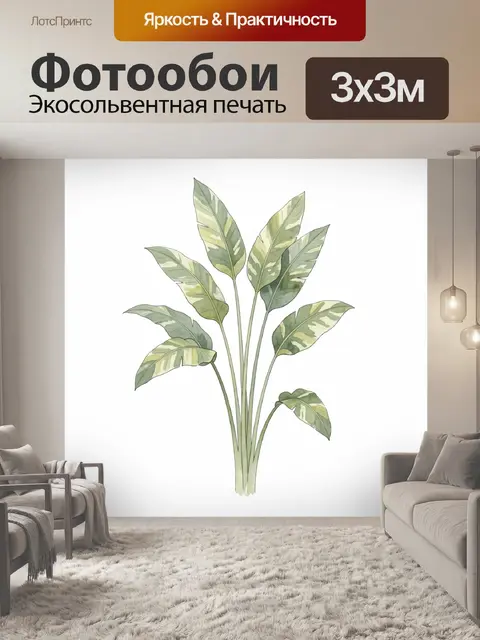 Фотообои Тропическое растение с пёстрыми листьями
