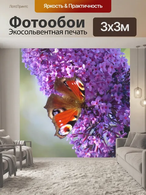 Фотообои Бабочки