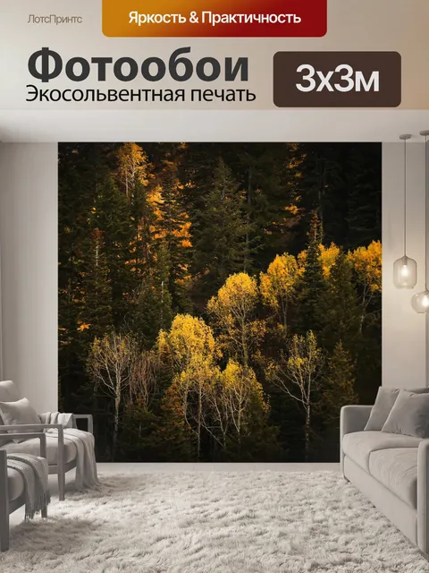 Фотообои Деревья