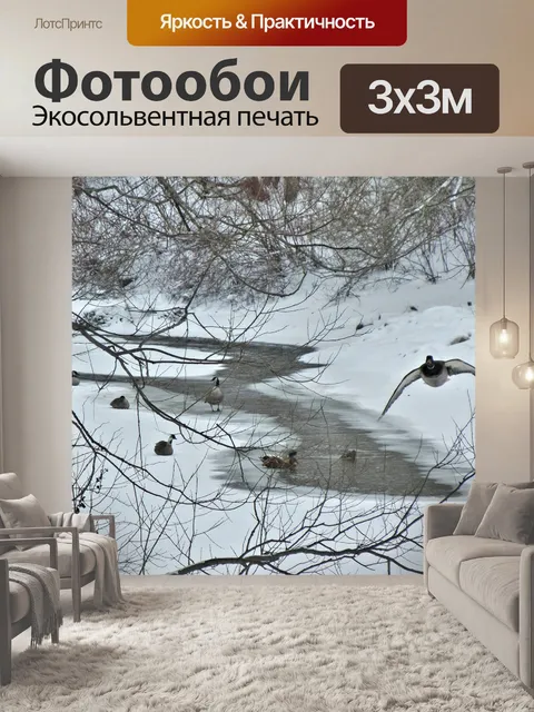Фотообои Канадские гуси