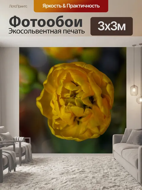 Фотообои Тюльпаны