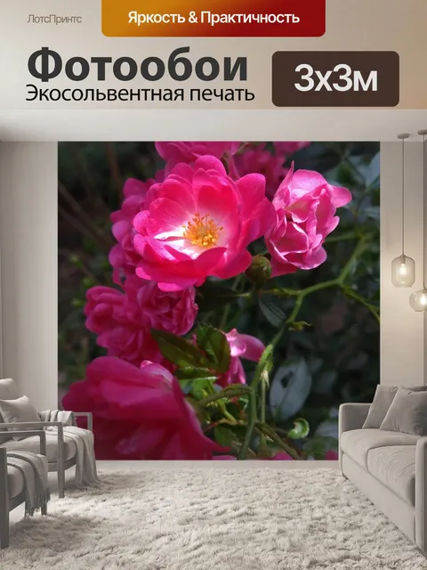 Фотообои Розы