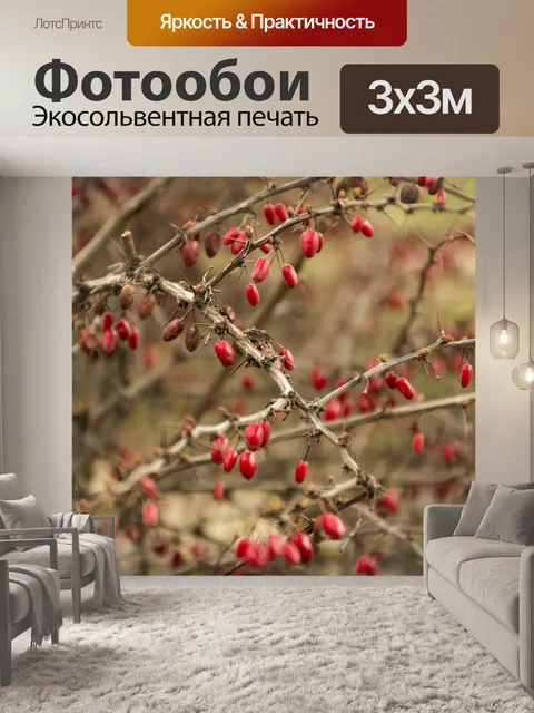 Фотообои Фрукты