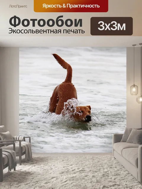 Фотообои Собака