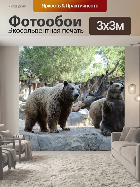 Фотообои Медведь