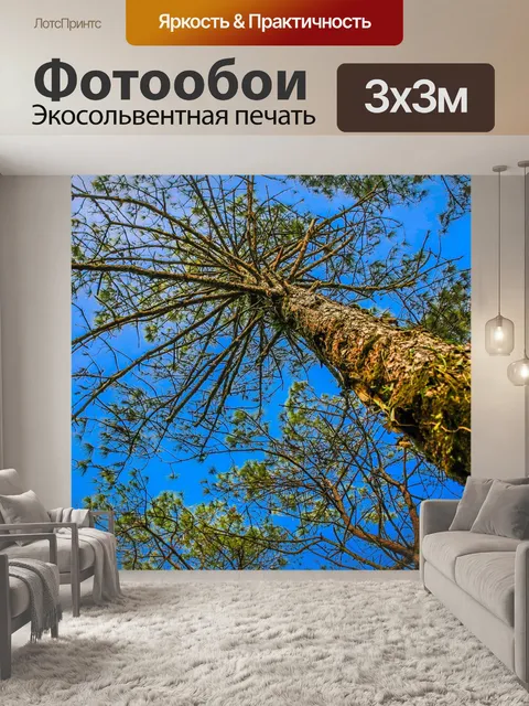 Фотообои Национальный парк Фуруа, Лоэй Таиланд