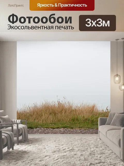 Фотообои Трава Туманное утро океан