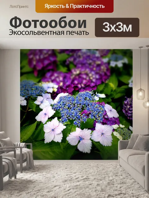 Фотообои Гортензия
