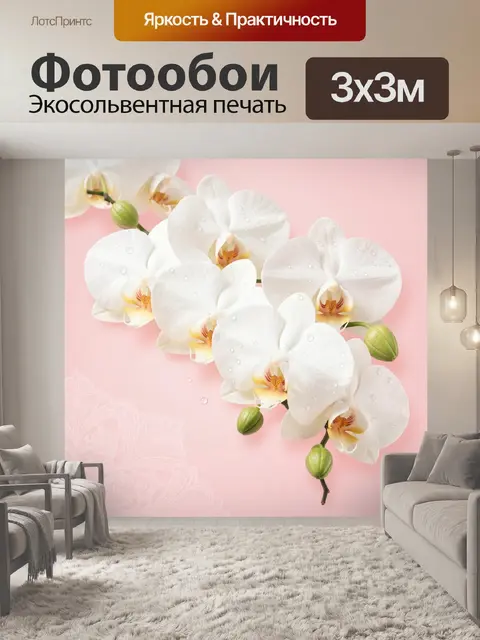 Фотообои Белые орхидеи на розовом фоне