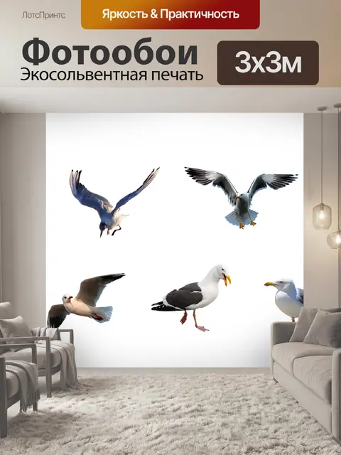 Фотообои Чайки