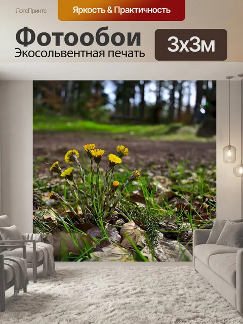 Фотообои Одуванчик