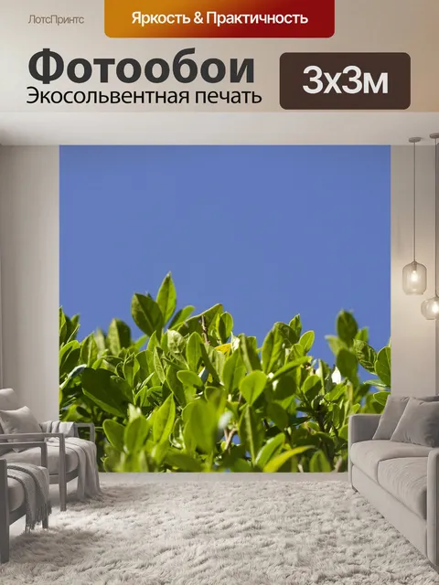 Фотообои Живая изгородь